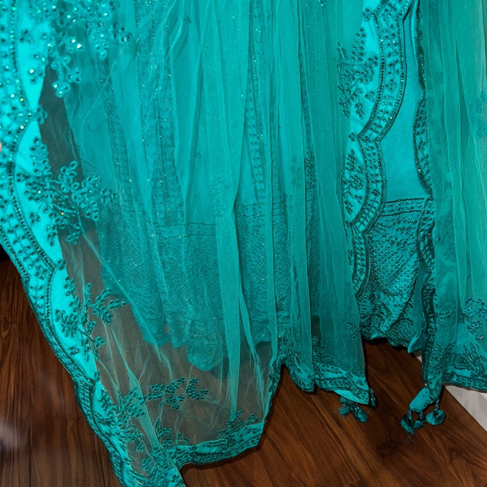 Crystal Embroidered Lehenga - Picture 9 of 11